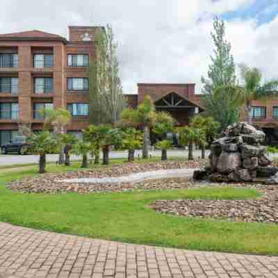 Regency Park Hotel Hotel Exterior