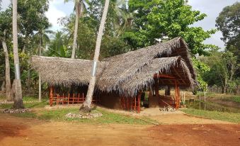 Monara Arana Eco Village and Farm Resort - Hostel