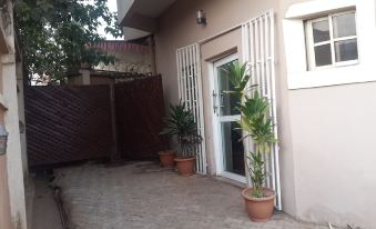 a house with a brown door and windows , surrounded by potted plants on the porch at M. House