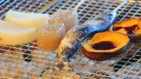 Kagura No Yakata Hotels in Takachiho