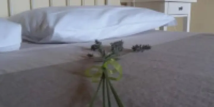 Residenza Ilde - Basic Double Room