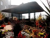 Holiday Inn Express Pachuca