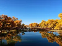 Huyang Autumn Apartment (Junmin Street)