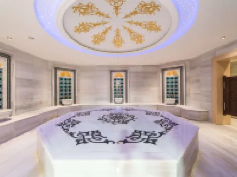 Radisson Blu Ordu Ordu otelleri