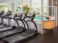 The Royal Sonesta Boston - Gym