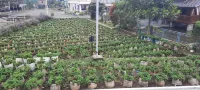 Kasturi Cottage Ciwidey with Horsing and Archery Facilities Hotel a Ciwidey