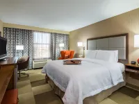 Hampton Inn Buffalo-Airport/Galleria Mall فنادق في West Seneca