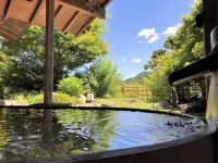 Nagatoro Choseikan Ryokan - Hot Springs