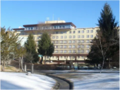Resort Hotel Tateshina Hotels in Chino