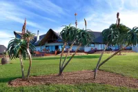 Jbay Zebra Lodge