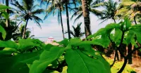Funtastico Beach Resort