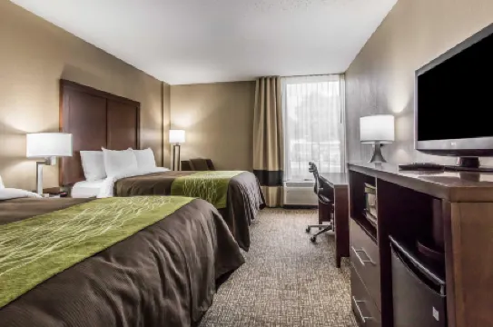 Spark by Hilton Jackson Ridgeland