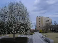 โรงแรมซีลัค พาล มิโตะ