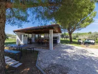 Mia Anima Hotels near Kažuni sv. Foške