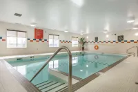 Comfort Inn & Suites Edmonton International Airport - Swimmingpools