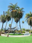 Palm Beach Resort - 2-Star