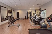 Staybridge Suites WISCONSIN DELLS - LAKE DELTON by IHG - gimnasio