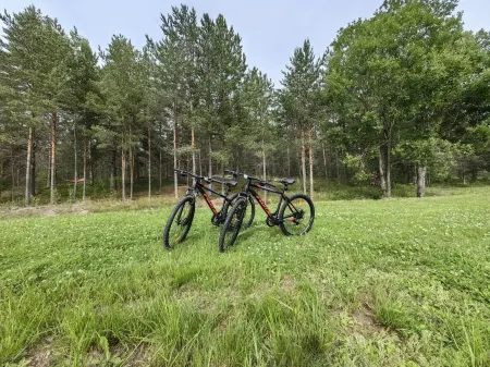 Pavola Guest House Отели в г. город Сортавала