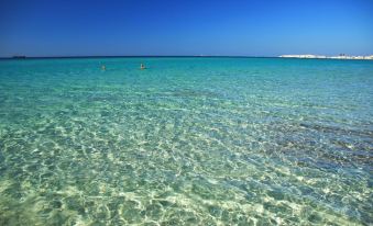 Comfortable apartment near the beach