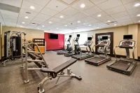 Homewood Suites by Hilton Novi Detroit Hotels in Нові