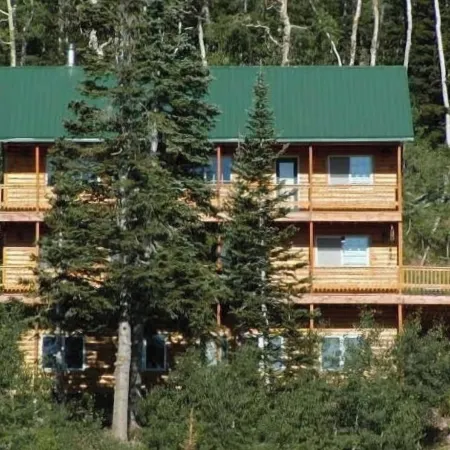 Ski in/Ski Out Cabin. 5 Bedrooms. 4 King Beds. Bunk Room. Fast WiFi. Sleeps 25+