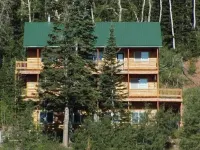 Ski in/Ski Out Cabin. 5 Bedrooms. 4 King Beds. Bunk Room. Fast WiFi. Sleeps 25+