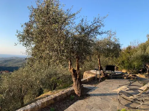 Modern architect's house in olive grove with sea views Hotels in Vasia