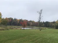 TUG HiLL Cabin on Twin Pond Farm