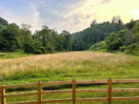 Farmhouse 2 minutes from The New River in Piney Creek, NC