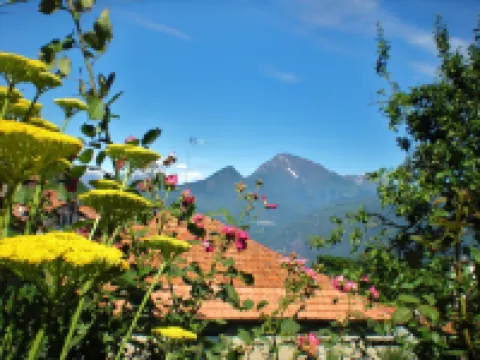 Apartment in an old barn, private garden overlooking the village Hotels in Plesio