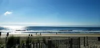 Newly renovated- beautiful Condo near the Beach- Sleeps 4 Linen /Towels Provided - Homestays