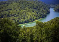 Norris Lake Barn Loft Apt 1 Lakeview's & 1 mi Access to public boat ramp Hotels in Campbell County