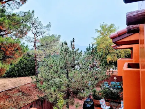 Beds For 9 Heads!  In the Hot Middle of All The Action!