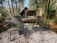 Wits End Retreat @ Mt. Rainier - Hot Tub & WiFi