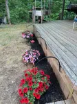 Streamside Saratoga