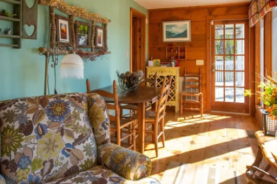 3 Deer Cabin - Fireplace - Mountain View