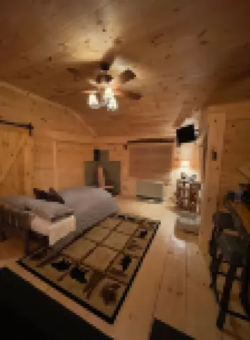 Snowmobilers private cabin, on the trails