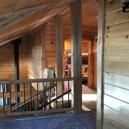 Mountain Cabin Near 49 Degrees North Ski Resort and the best Huckleberry picking