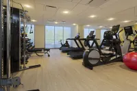 Hilton Garden Inn Boston Brookline, Ma - Gym
