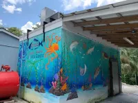 Rustic newly remodeled River House on working fish house property . Gulf access