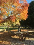 Farmstay RetreatFamily cottage Child & Pet friendly orOma's romantic Retreat