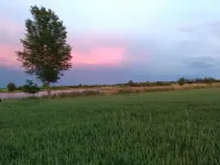 200m to the lake, fishing, swimming, recreation and hiking vacation Hotels in Pawesin