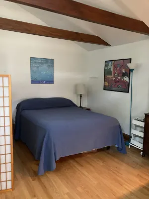 Lovely Intown Cottage Close to College, Shops, Coast, in Leafy ,Tranquil Setting