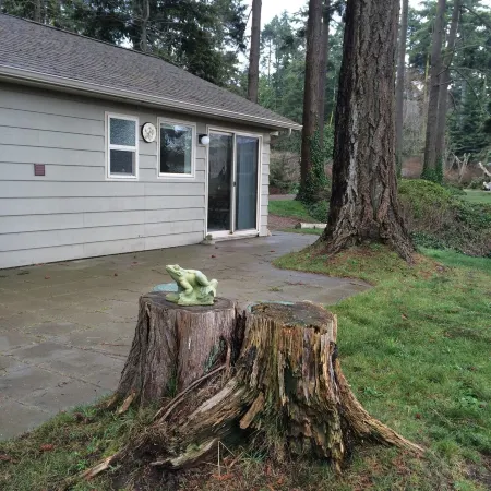 Private Beach Access with beautiful water view between Sequim & Port Angeles Отели рядом с достопримечательностью «Нью Дангенесс Лайтхаус»