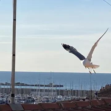 Superbe Appartement Centre Ville Avec vue sur la Mer. Lit et Chaise Haute Bébé
