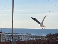 Superbe Appartement Centre Ville Avec vue sur la Mer. Lit et Chaise Haute Bébé