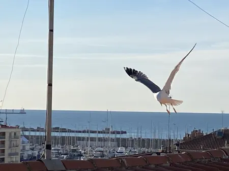 Superbe Appartement Centre Ville Avec vue sur la Mer. Lit et Chaise Haute Bébé