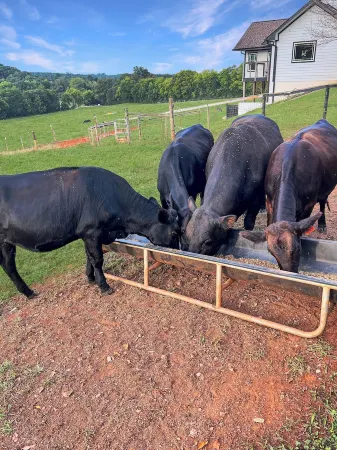 Sweetwater Stables & Farm