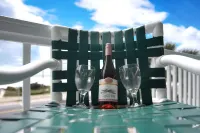 Stunning Views & Budget-Friendly, Gulf Front Oasis, Community Pool! Well Stocked