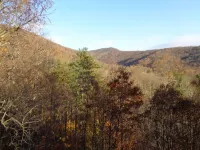 Experience the Best of Western North Carolina Near Asheville